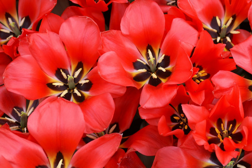 435467 (a): :2400x1600